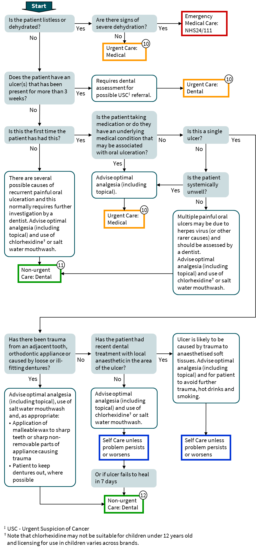 Ulceration pathway flowchart
