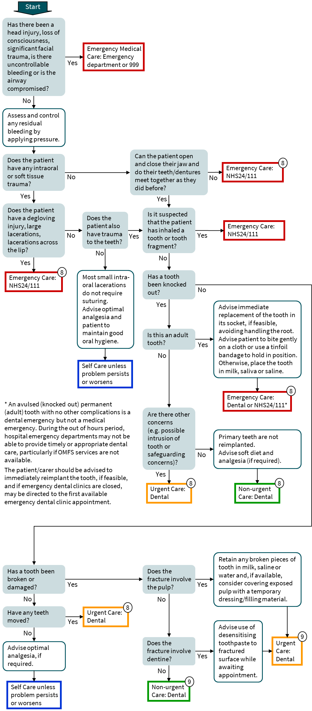 Trauma pathway flowchart