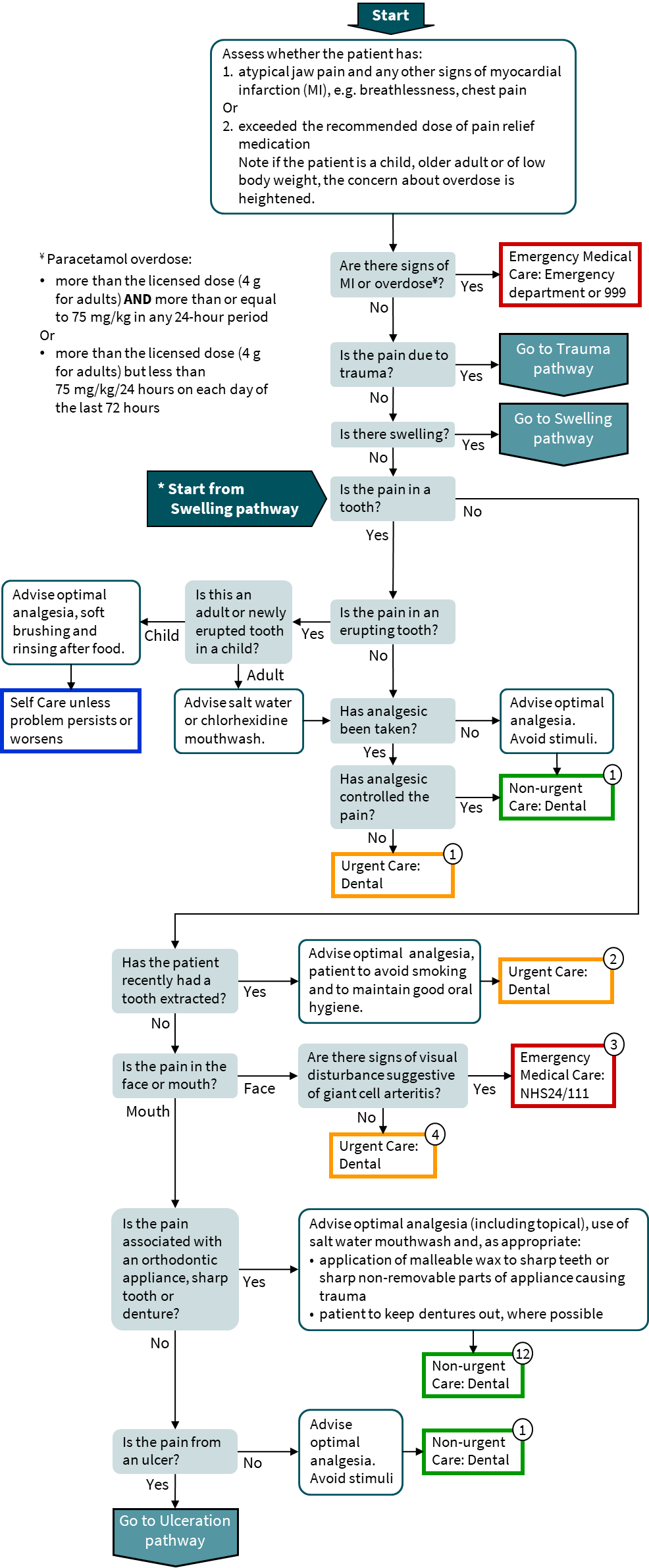 Pain pathway flowchart